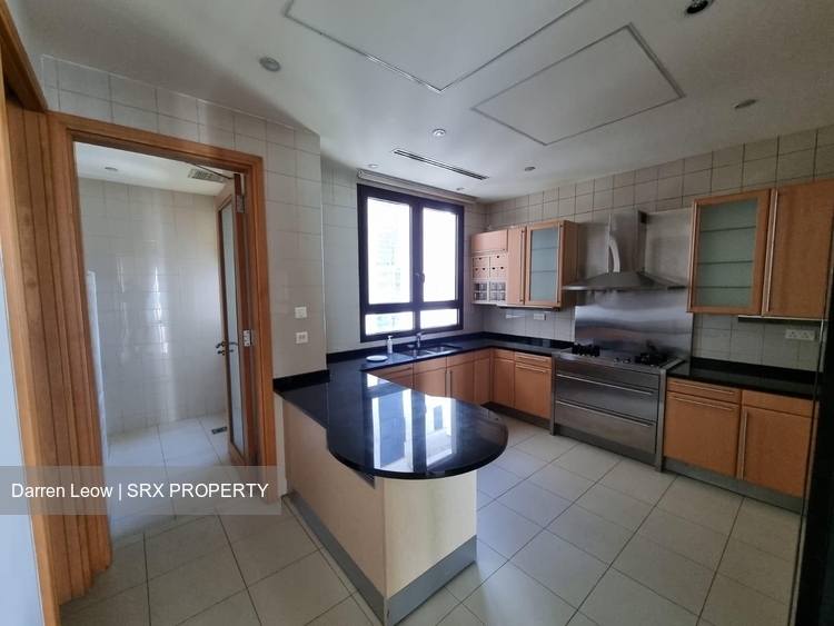 Ardmore Park (D10), Condominium #448657921